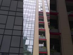 वापस लेने योग्य ड्रॉप आर्म विंडो शामियाना
